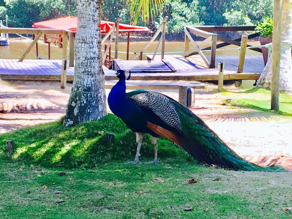 Pousada Ilha Do Desejo Оливенса Экстерьер фото