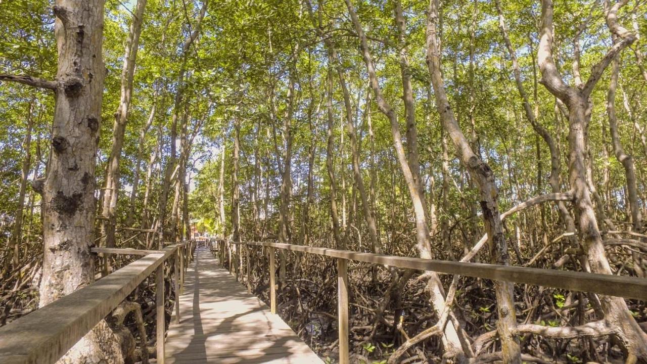 Pousada Ilha Do Desejo Оливенса Экстерьер фото